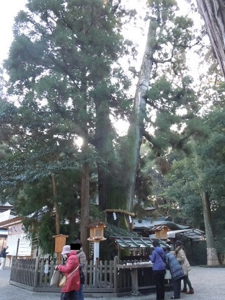 c0263829_19113375.jpg