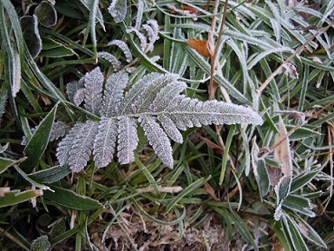 c0263829_1912592.jpg