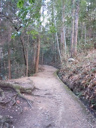 c0263829_1994869.jpg