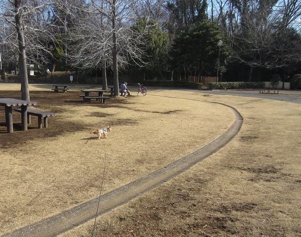 f0002833_22231740.jpg