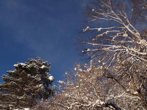 c0117239_1062084.jpg