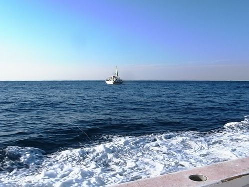 e0007544_8175251.jpg