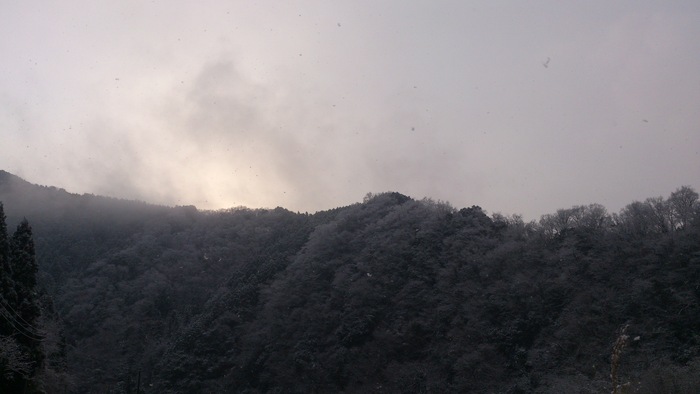 b0110646_2383336.jpg