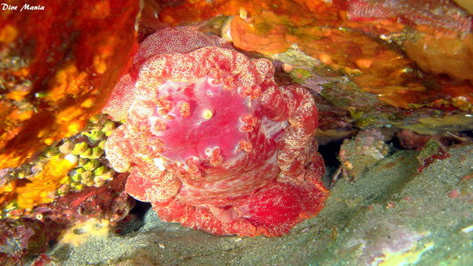 b0236647_19513478.jpg