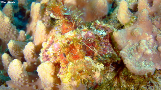 b0236647_19534794.jpg