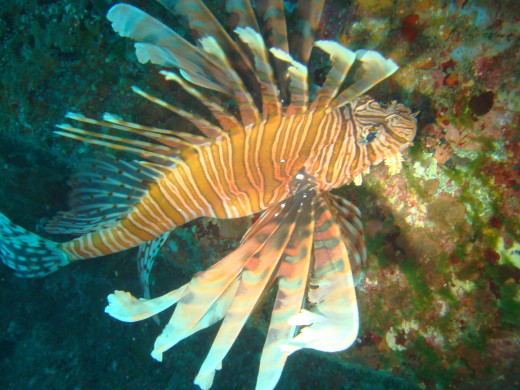b0236647_20222300.jpg