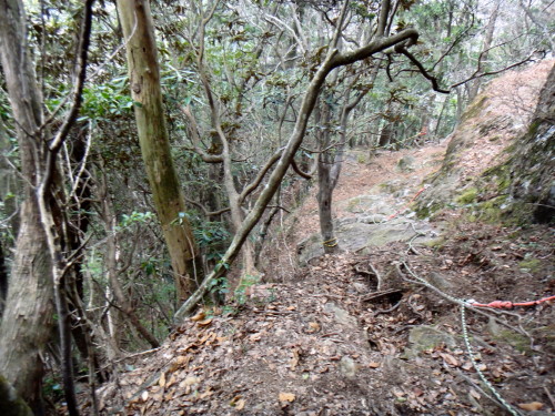 c0179351_1033292.jpg