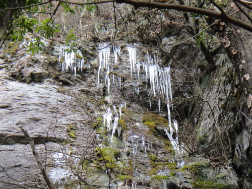 c0179351_1065919.jpg
