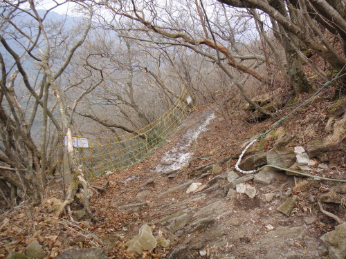 c0179351_1074611.jpg