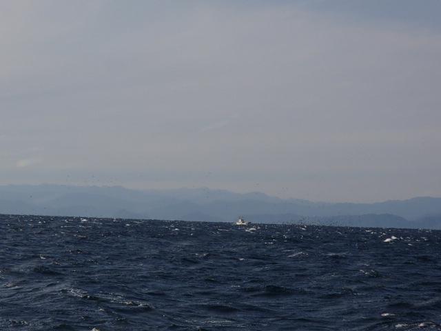 a0248152_18252745.jpg