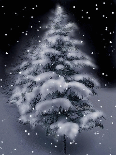 b0133752_10525369.gif