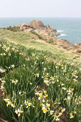 c0297854_1153281.jpg