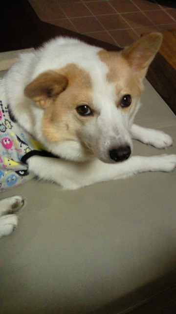f0046854_22104775.jpg