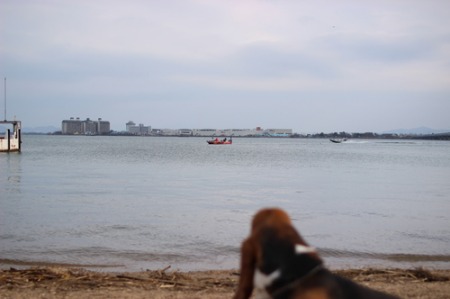 f0204072_831839.jpg