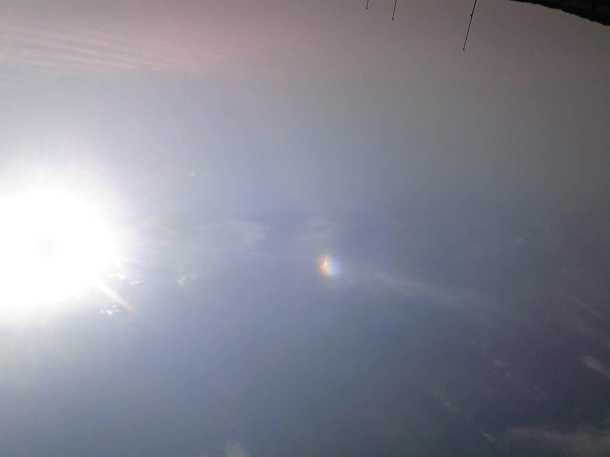 b0161073_1315786.jpg