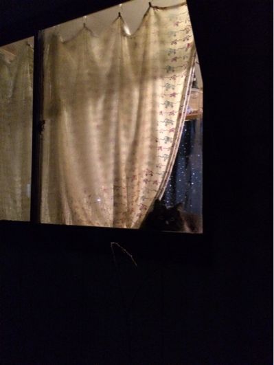 e0322577_1911311.jpg
