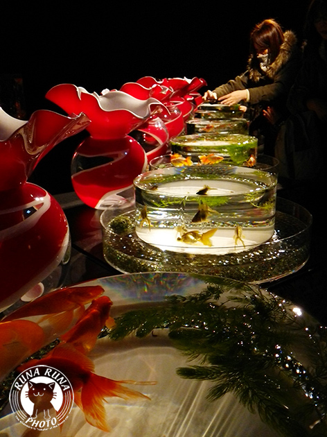 f0210380_1310664.jpg