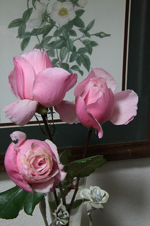 d0166303_201031100.jpg