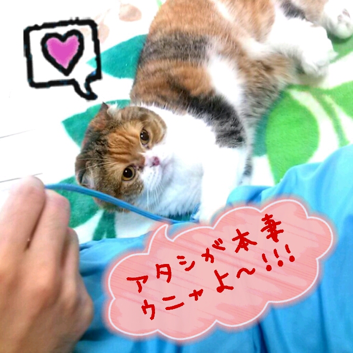 c0237608_15444912.jpg