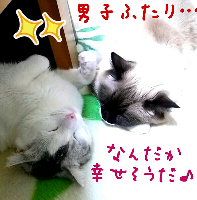 c0237608_15505038.jpg