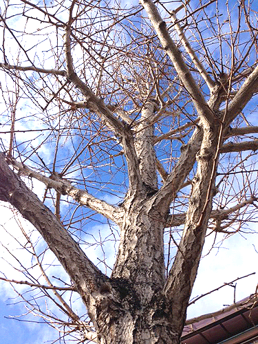 f0167611_23244767.gif