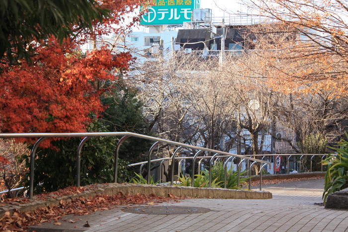 a0214329_745462.jpg