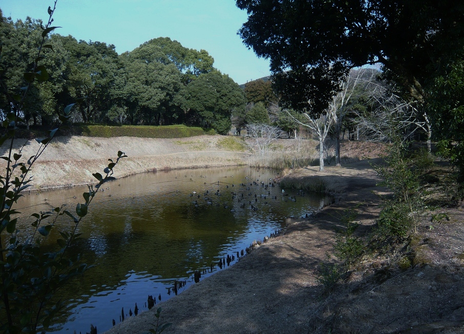 a0206332_8433355.jpg