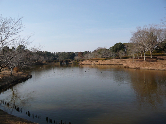 a0206332_8445115.jpg