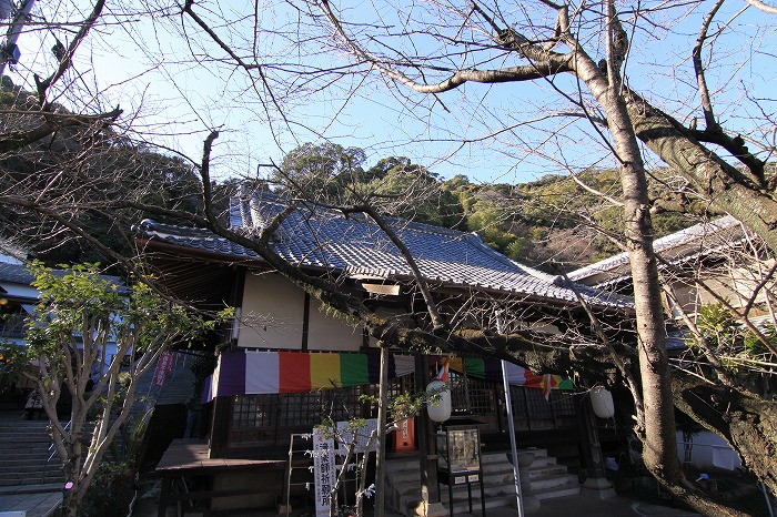 b0168041_17545898.jpg