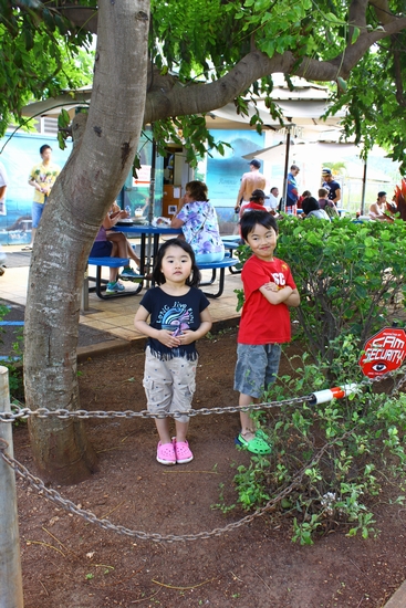 a0090451_1232746.jpg