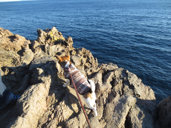 f0269163_14184579.jpg