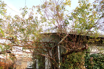 e0154682_22395373.jpg