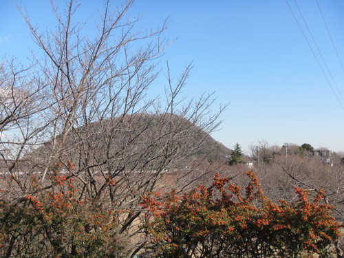 a0251786_201121100.jpg