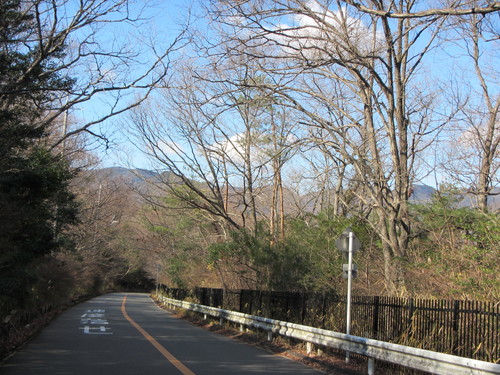 a0251786_2011444.jpg