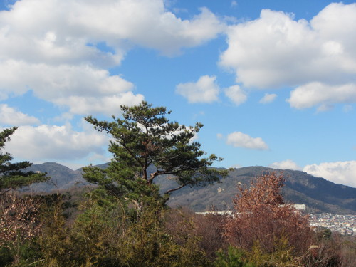 a0251786_20125251.jpg