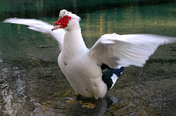 b0228988_013245.jpg