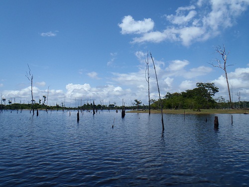 e0052088_20223091.jpg