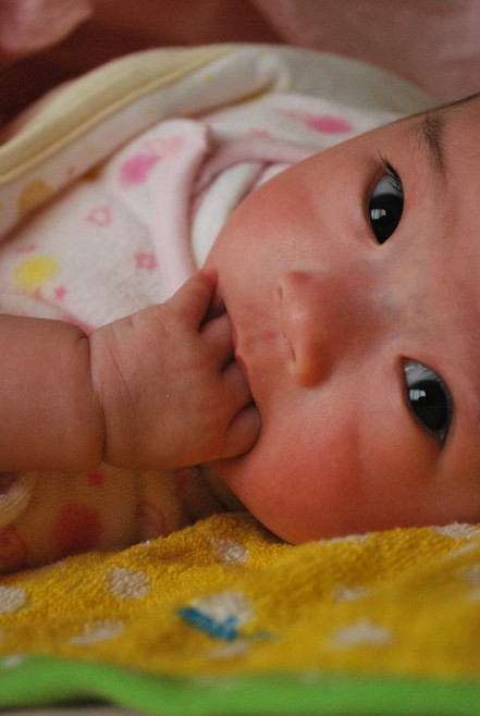 e0172592_20134641.jpg