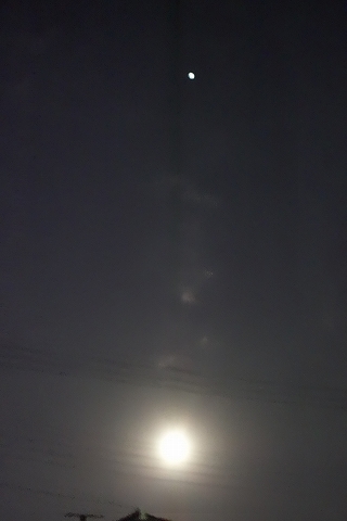 b0147203_23182438.jpg