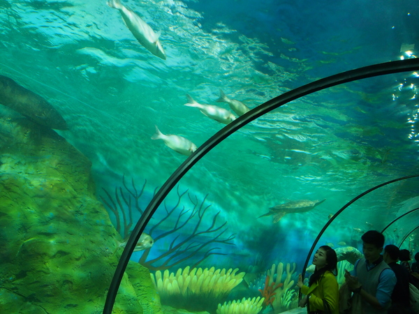 d0252505_18175025.jpg