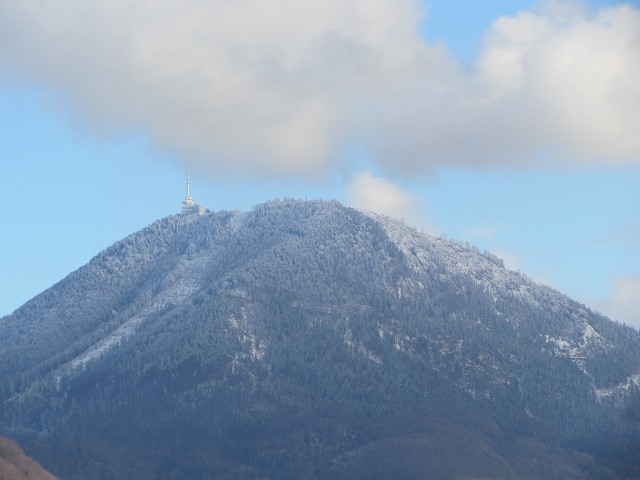 c0167813_8141114.jpg