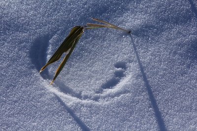 e0242721_20204416.jpg