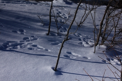e0242721_20242752.jpg