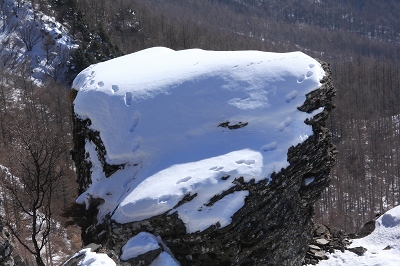 e0242721_20271257.jpg