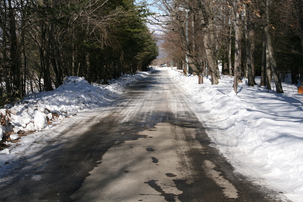 b0174425_15413436.jpg