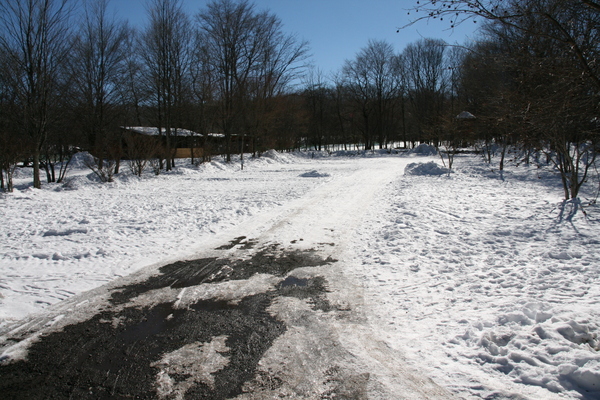 b0174425_1550429.jpg