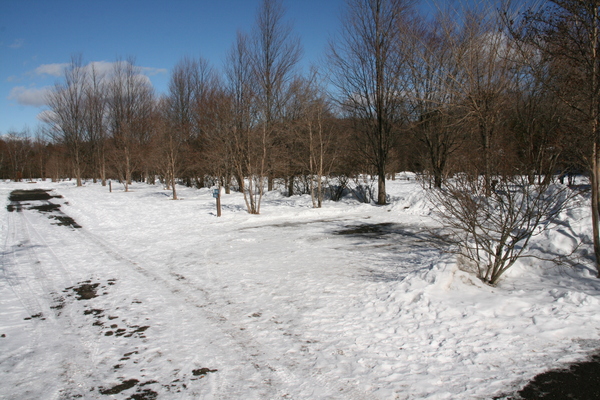 b0174425_15515228.jpg
