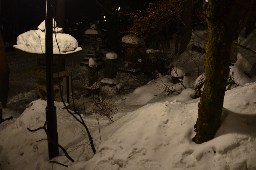 f0124830_0403612.jpg