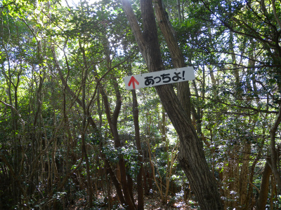 e0272335_2215264.jpg