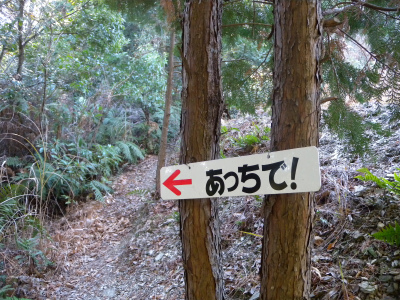 e0272335_226246.jpg